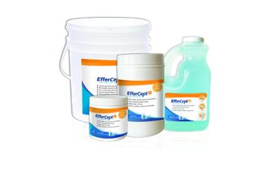 10 Top Reasons Why Nothing Compares to Fast-Acting EfferCept SG Pre/Post Teat Dip Tablets