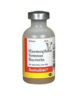 Somubac Injectable [20ml] (10 dose)