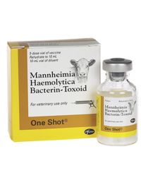 One Shot 10 mL (5 Doses)