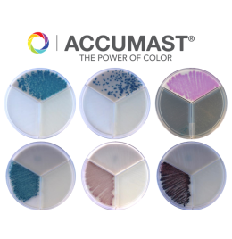 AccuMast Plates (4 Count)
