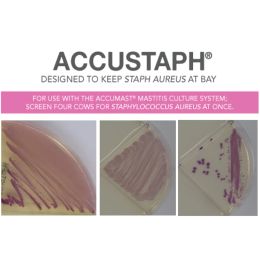 AccuStaph Plates (4 Count)