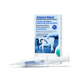 AmoxiMast - Rx 12 Count