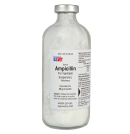 Ampicillin Injectable [25 gm]