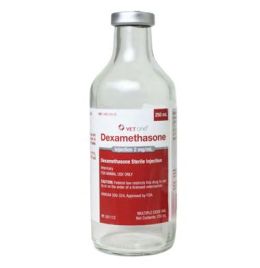 Dexamethasone 2MG [250ml]