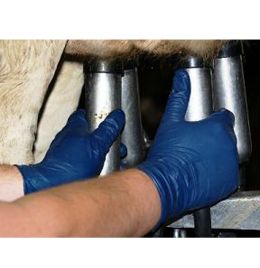 Milker's Helpers Gloves Nitrile PF [XL] (100 Count)