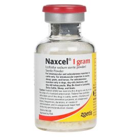 Naxcel - Rx 1 GM