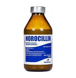 Norbrook Norocillin Inj [250ml]