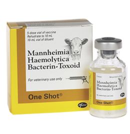 One Shot 10 mL (5 Doses)