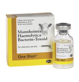 One Shot 20 mL (10 Doses)