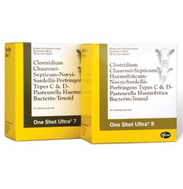 One Shot Ultra 7 - 100 mL (50 Doses)