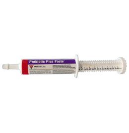 Probiotic Plus Paste [80 ml]