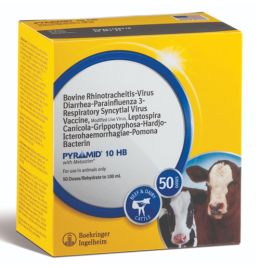 Pyramid 10 HB [100 mL] (50 Doses)