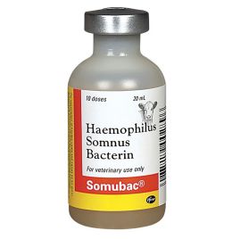 Somubac Injectable [20ml] (10 dose)