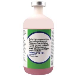 Boehringer Ingelheim 139966 Triangle 10 HB [250 mL] (50 ds)