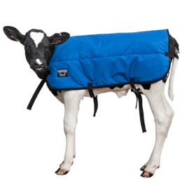 Udder Tech Single Insulated Medium Calf Blanket - Jacket [Blue]